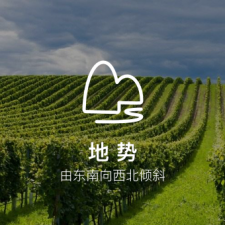 winery_ico_1