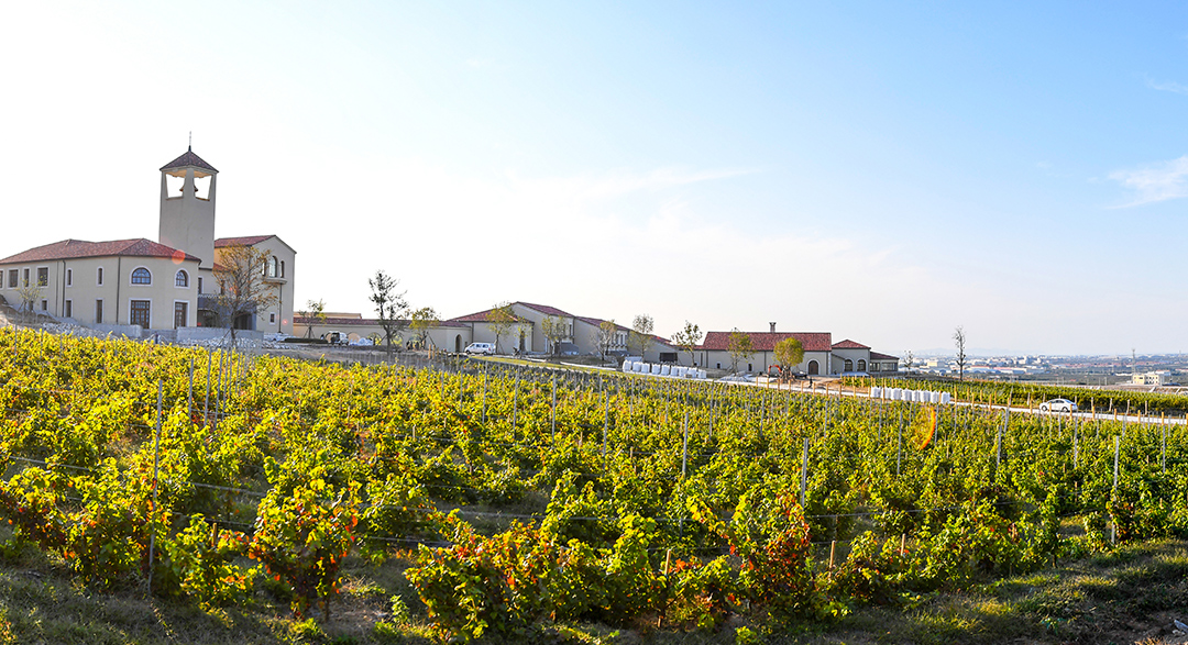 surroundings_img_03
