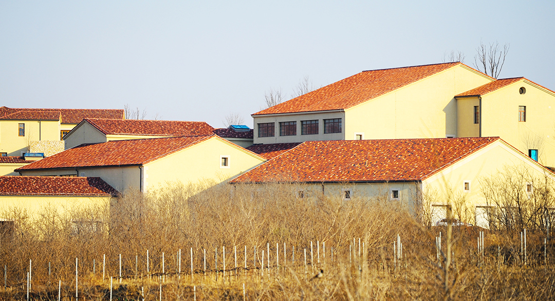 surroundings_img_04